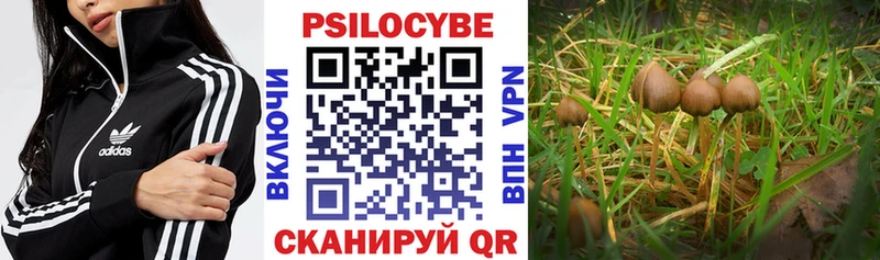 Псилоцибиновые грибы ЛСД  закладки  Ульяновск 
