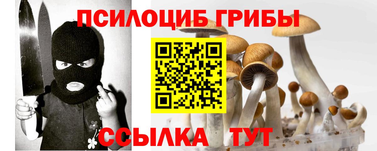 Псилоцибиновые грибы MAGIC MUSHROOMS  Вход с VPN  Галлюциногенные грибы мухоморы  Ульяновск 